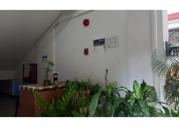 Hotel Oyo 903 Tesoro 2*